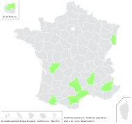 Styphnolobium japonicum (L.) Schott - carte de répartition
