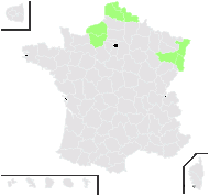 Rheum rhabarbarum L. - carte de répartition