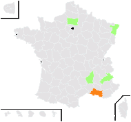 Trifolium alexandrinum L. - carte de répartition
