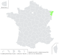 Digitalis lanata Ehrh. - carte de répartition