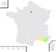 Genista ×hyb. (sans nom 5)  - carte de répartition