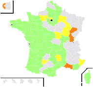 Trifolium micranthum Viv. - carte de répartition