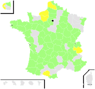 Trifolium hybridum subsp. elegans (Savi) Asch. & Graebn. - carte de répartition