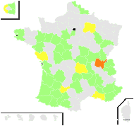 Trifolium incarnatum var. elatius Gibelli & Belli - carte de répartition