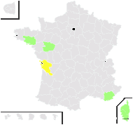 Torilis nodosa subsp. webbii (Jury) Kerguélen - carte de répartition