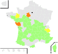Trifolium incarnatum var. molinerii (Balb. ex Hornem.) Ser. - carte de répartition