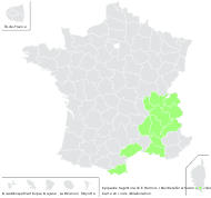 Epipactis fageticola (C.E.Hermos.) Devillers-Terschuren & Devillers - carte de répartition