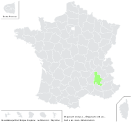 Origanum onites L. - carte de répartition