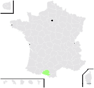 Trifolium endressii J.Gay - carte de répartition