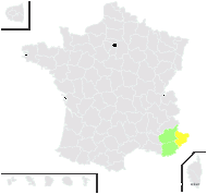 Achillea collina (Becker ex Rchb.) Heimerl - carte de répartition