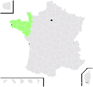 Rubus venetorum D.E.Allen - carte de répartition