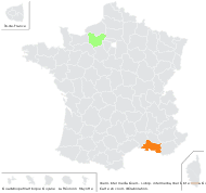 Iberis intermedia Guers. subsp. intermedia - carte de répartition