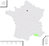 Abies numidica Lannoy ex Carrière - carte de répartition