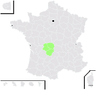 Ulex ×lagrezei Rouy - carte de répartition