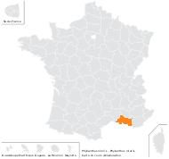 Phyllanthus niruri L. - carte de répartition