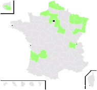 Rubus armeniacus Focke - carte de répartition