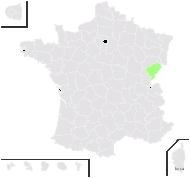 Salix ×hyb. (sans nom 14)  - carte de répartition