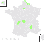 Acer pseudoplatanus f. purpureum (Loudon) Rehder - carte de répartition