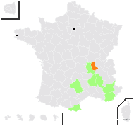 Trifolium bonnevillei Mouterde - carte de répartition