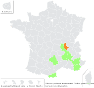 Trifolium sylvaticum Gérard ex Loisel. - carte de répartition