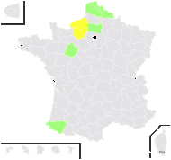 Poa nemoralis proles firmula (Gaudin) Rouy - carte de répartition