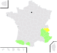 Poa molinerii Balb. - carte de répartition