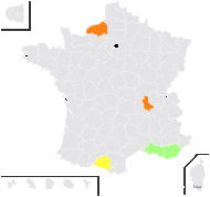 Telis caerulea (L.) Kuntze - carte de répartition