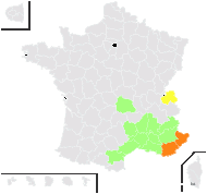 Trigonella elatior Sm. - carte de répartition