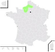 Asperula cynanchica L. subsp. cynanchica f. cynanchica  - carte de répartition