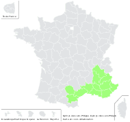 Ophrys virescens Philippe - carte de répartition