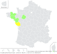 Ulex europaeus subsp. latebracteatus (Mariz) Rothm. - carte de répartition