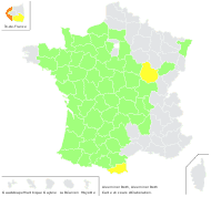 Ulex minor Roth - carte de répartition