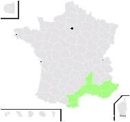 Ulex provincialis Loisel. - carte de répartition