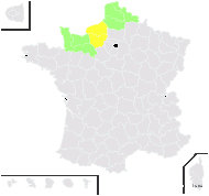 Pimpinella major var. dissecta (Spreng.) G.Mey. - carte de répartition