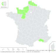 Pimpinella major (L.) Huds. var. major f. major  - carte de répartition