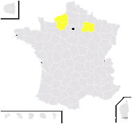 Raphanus niger Mill. - carte de répartition