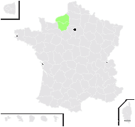 Populus ×canadensis Moench var. canadensis - carte de répartition