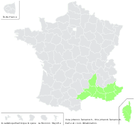 Vicia johannis Tamamsch. - carte de répartition