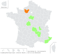 Vicia tricolor Sebast. & Mauri - carte de répartition