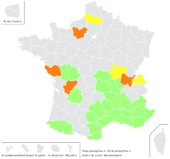 Vicia peregrina L. - carte de répartition