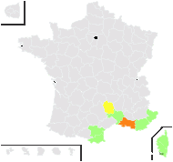 Ervum pubescens DC. - carte de répartition