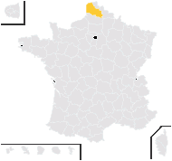 Arachis hypogaea L. - carte de répartition