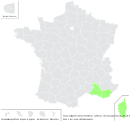 Vicia elegantissima Shuttlew. ex Rouy - carte de répartition