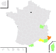 Vicia pseudocracca Bertol. - carte de répartition