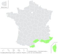 Frankenia hirsuta L. - carte de répartition