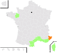 Frankenia pulverulenta L. - carte de répartition