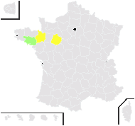 Fumaria reuteri Boiss. - carte de répartition