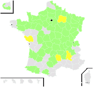 Pseudofumaria lutea (L.) Borkh. - carte de répartition