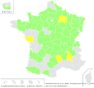 Pseudofumaria lutea (L.) Borkh. - carte de répartition