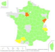 Aristolochia clematitis L. - carte de répartition